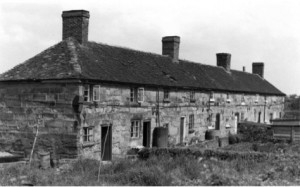 Stone Row Archaeology open afternoon